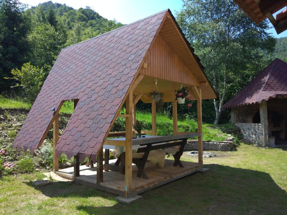 Cabana Soarelui Retezat Nucsoara  Ngoại thất bức ảnh