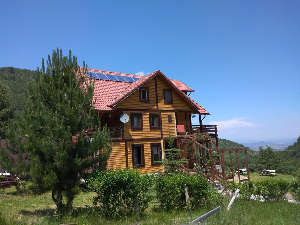 Cabana Soarelui Retezat Nucsoara  Ngoại thất bức ảnh